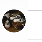 Two doves and a thrush by Anonymous