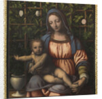 The Madonna of the Rose Garden (Madonna del Roseto) by Anonymous