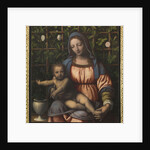 The Madonna of the Rose Garden (Madonna del Roseto) by Anonymous