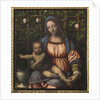 The Madonna of the Rose Garden (Madonna del Roseto) by Anonymous
