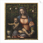 The Madonna of the Rose Garden (Madonna del Roseto) by Anonymous