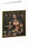 The Madonna of the Rose Garden (Madonna del Roseto) by Anonymous