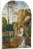 Saint Jerome in the Wilderness by Anonymous