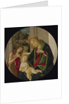 Virgin and child with John the Baptist as a Boy and Saint Francis receiving the Stigmata by Anonymous