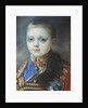 Portrait of the Crown prince Alexander Nikolayevich by Anonymous