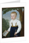 Portrait of Vasily Engelhardt as child, with a book of Plutarch by Anonymous