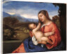 Madonna and Child in a Landscape by Anonymous