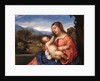 Madonna and Child in a Landscape by Anonymous