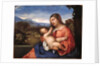 Madonna and Child in a Landscape by Anonymous