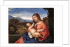 Madonna and Child in a Landscape by Anonymous