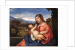 Madonna and Child in a Landscape by Anonymous
