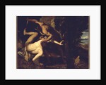 Cain and Abel by Anonymous