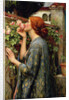 The Soul of the Rose by Anonymous
