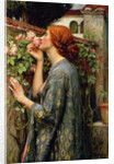 The Soul of the Rose by Anonymous