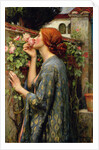 The Soul of the Rose by Anonymous
