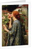 The Soul of the Rose by Anonymous