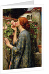The Soul of the Rose by Anonymous