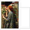 The Soul of the Rose by Anonymous