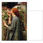 The Soul of the Rose by Anonymous