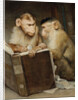 The Scholars by Anonymous