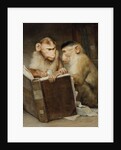 The Scholars by Anonymous