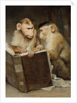 The Scholars by Anonymous