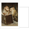 The Scholars by Anonymous