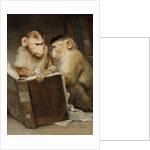 The Scholars by Anonymous
