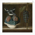 Still Life with Grapes and a gray shrike (Allegory of Painting) by Anonymous