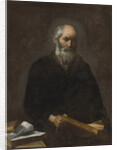 Plato by Anonymous