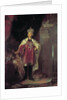 Emperor Paul I dressed as Grand Master of Maltese by Anonymous