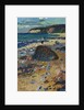 Binz on Rügen by Anonymous