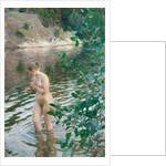 The cold stream by Anonymous