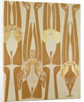 Wallpapers design by Anonymous