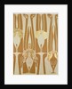 Wallpapers design by Anonymous