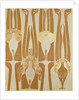 Wallpapers design by Anonymous