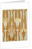Wallpapers design by Anonymous