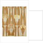 Wallpapers design by Anonymous
