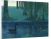 The black swan by Anonymous
