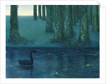 The black swan by Anonymous