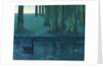The black swan by Anonymous