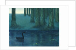 The black swan by Anonymous