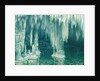 The Cuevas del Drach, Mallorca by Anonymous