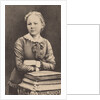 Marie Sklodowska Curie at the age of 16 by Anonymous