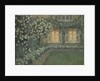 Le jardin blanc au crépuscule ( The white garden at dusk) by Anonymous