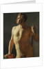 Torso by Anonymous