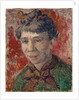 Portrait of a woman by Anonymous
