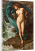 Andromeda by Anonymous