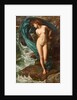 Andromeda by Anonymous