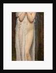 Crenaia, the nymph of the Dargle by Anonymous